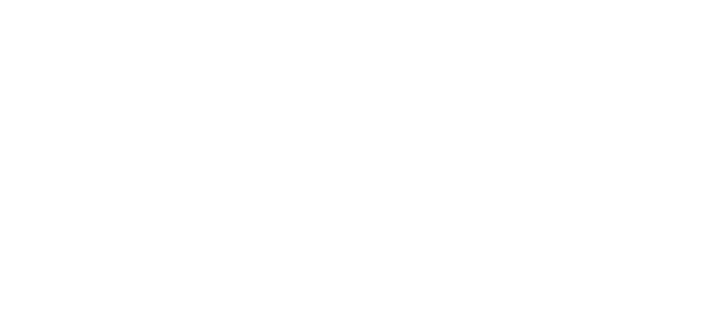 logo paisley